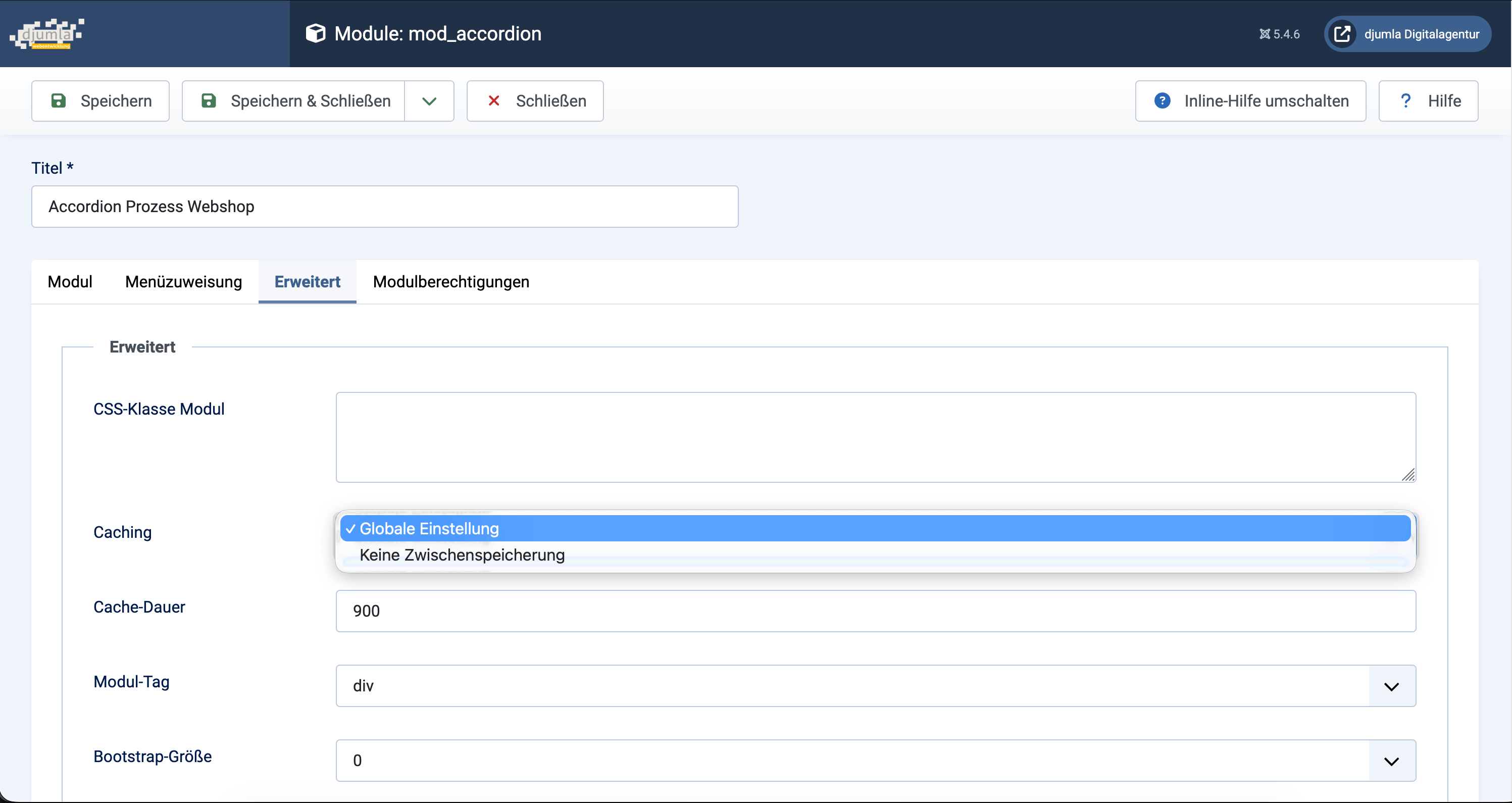 modul caching exclude