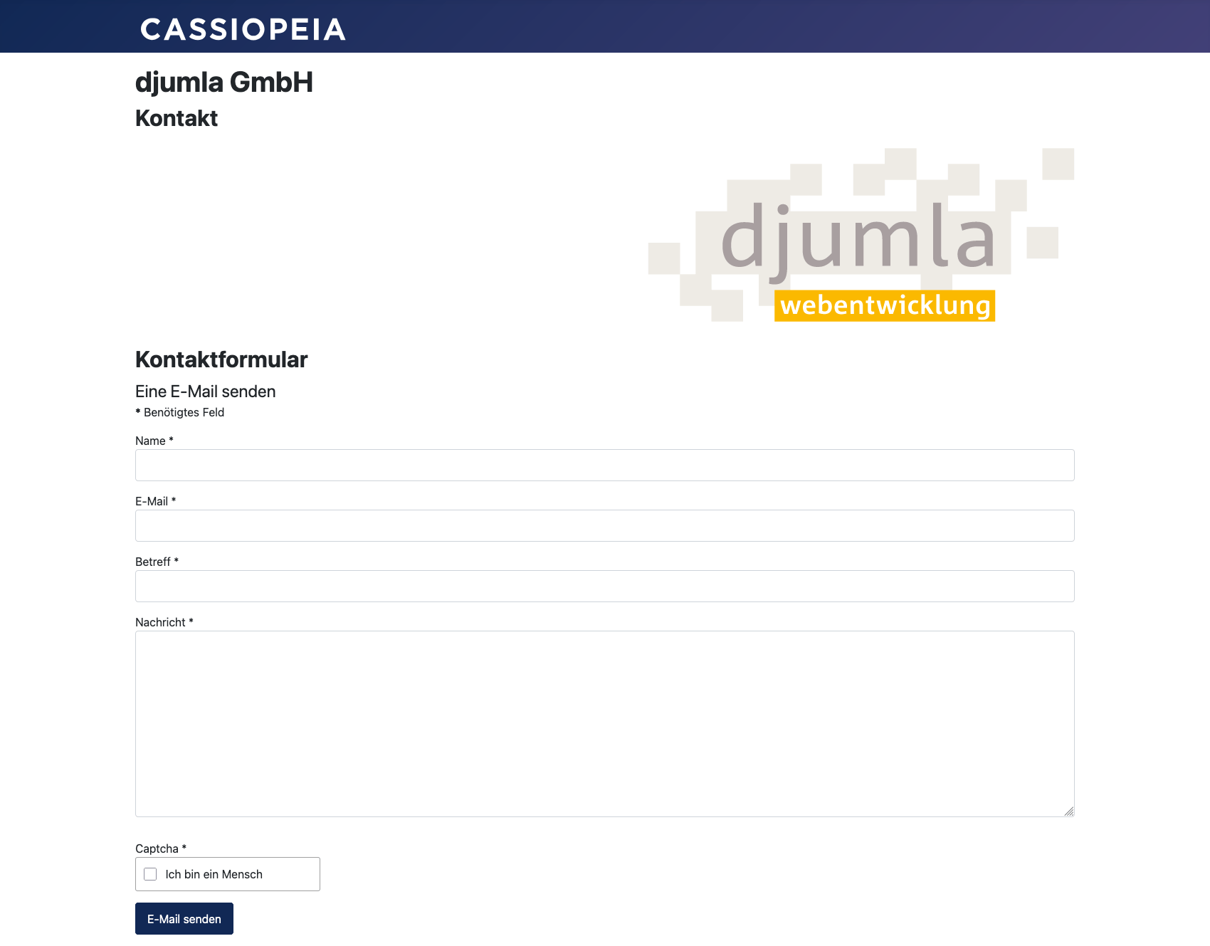 Screenshot: Standard Joomla Kontaktformular
