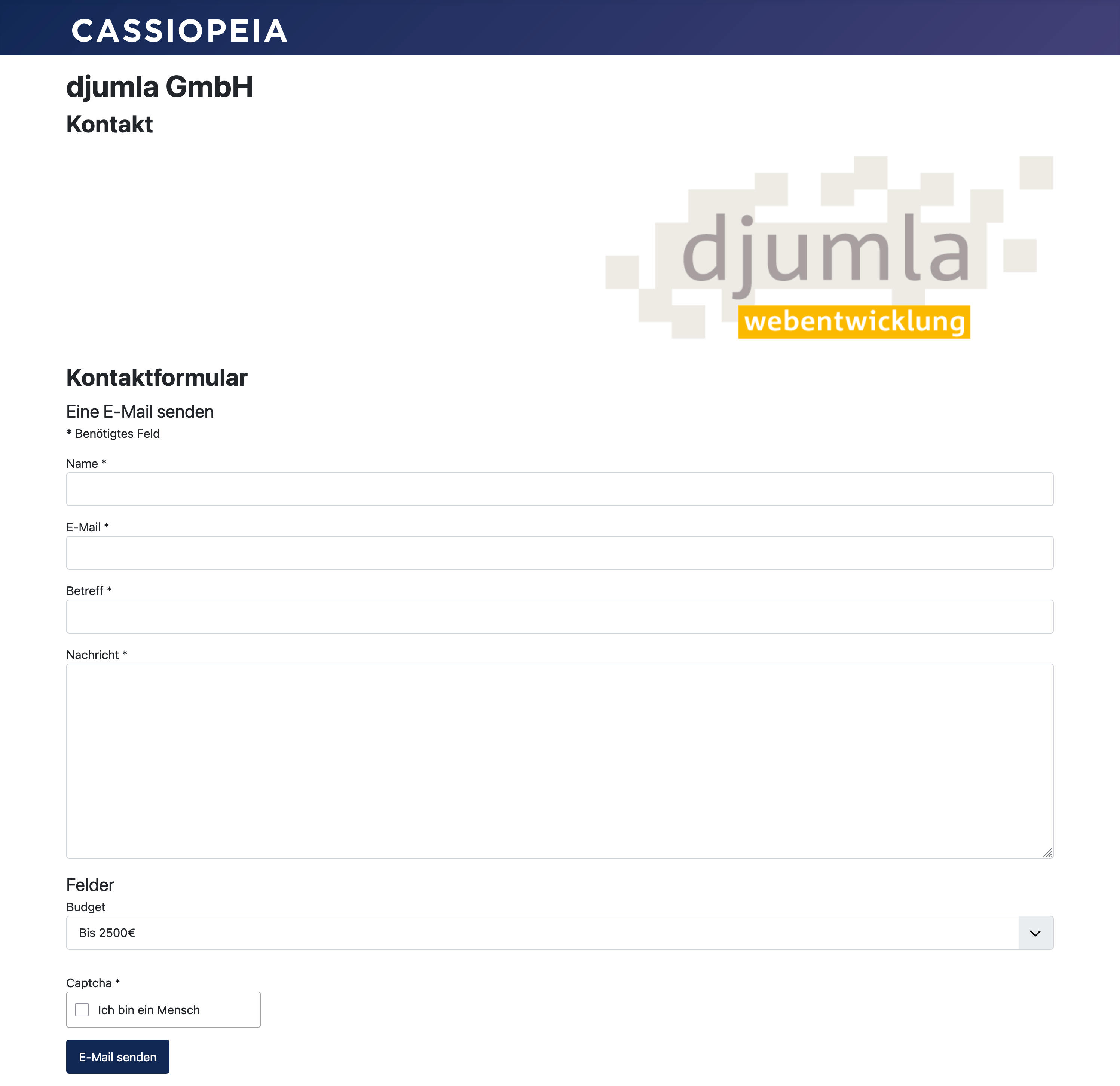 Screenshot: Kontaktformular mit zusätzlichen Feld zur Budget-Auswahl